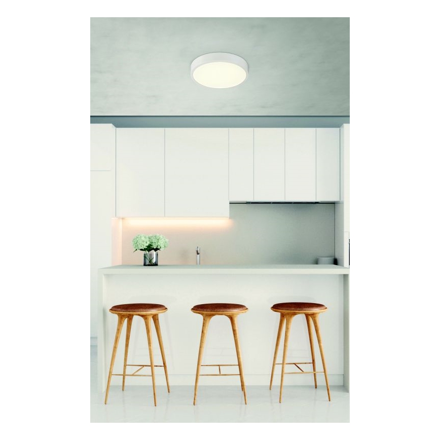 Globo - LED dimbar taklampa LED/22W/230V