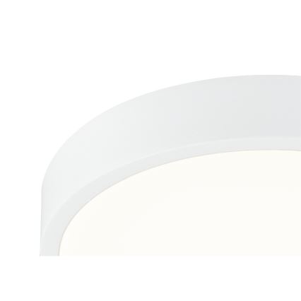 Globo - LED dimbar taklampa LED/22W/230V