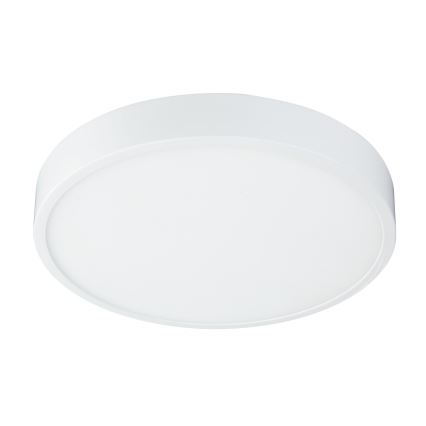 Globo 12364-30 - LED Dimbar Badrumsbelysning LED/28W/230V IP44
