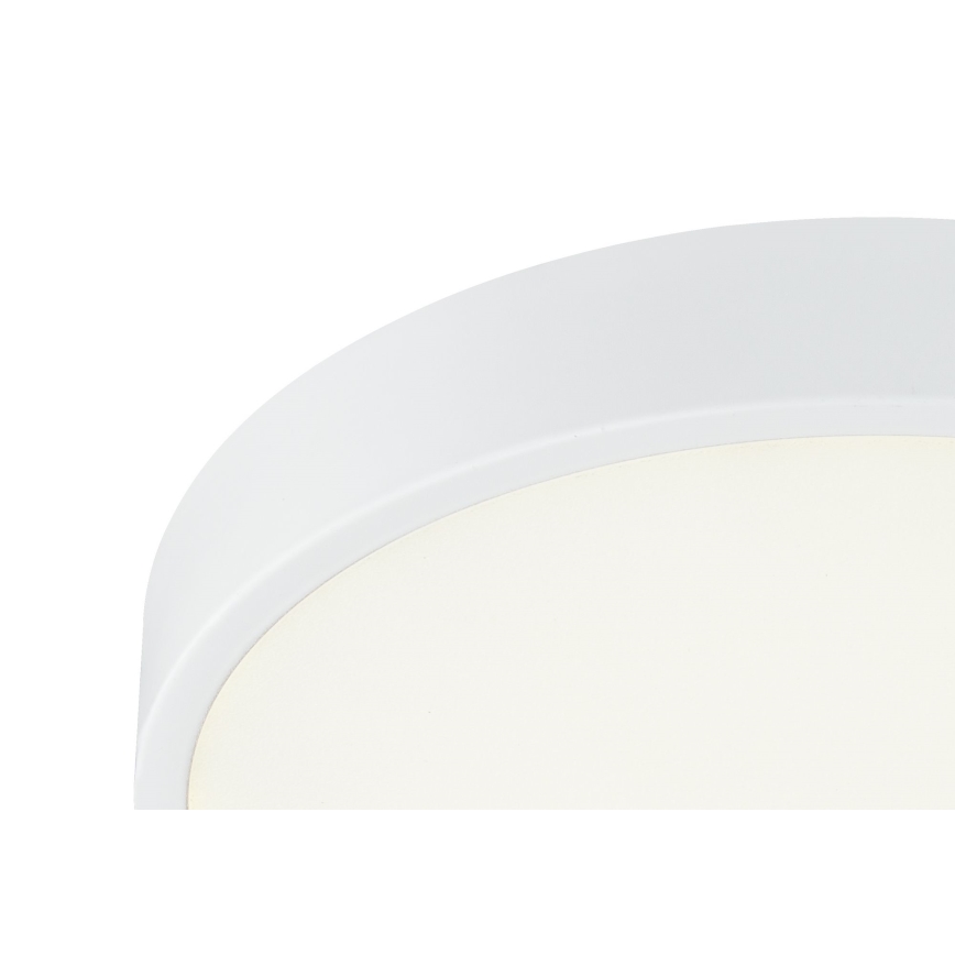 Globo 12364-30 - LED Dimbar Badrumsbelysning LED/28W/230V IP44