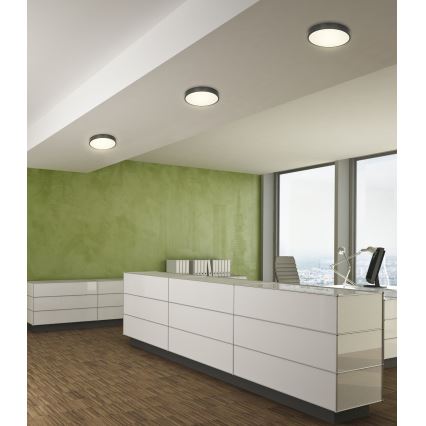 Globo - LED Dimbar taklampa LED/28W/230V