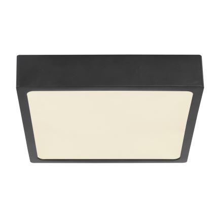 Globo 12369-15 - LED Takbelysning ECHO LED/15W/230V