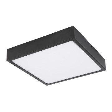 Globo 12369-22 - LED Takbelysning ECHO LED/22W/230V