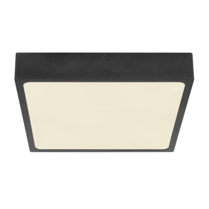Globo 12369-22 - LED Takbelysning ECHO LED/22W/230V