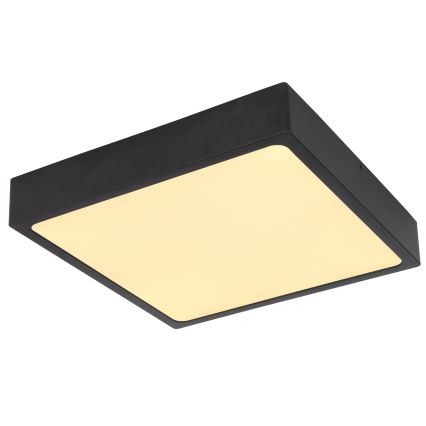 Globo 12369-22 - LED Takbelysning ECHO LED/22W/230V