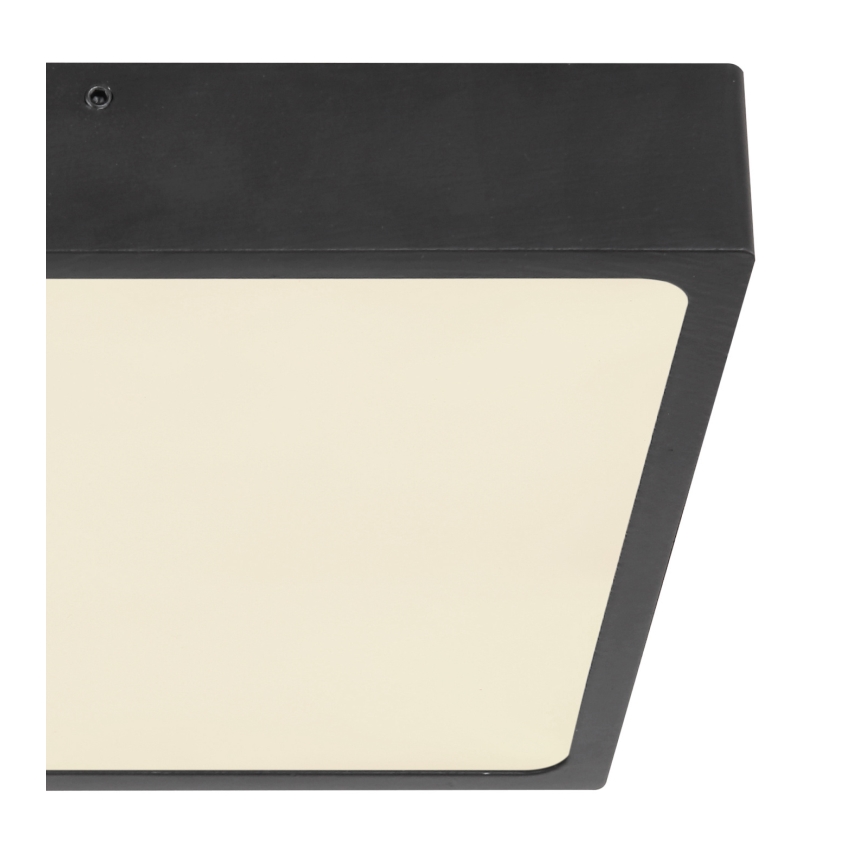 Globo 12369-22 - LED Takbelysning ECHO LED/22W/230V