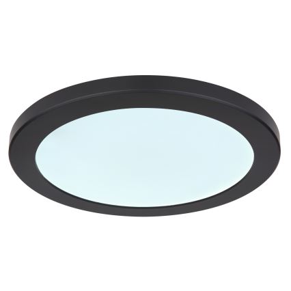 Globo - LED taklampa LED/24W/230V 3000/4000/6500K svart