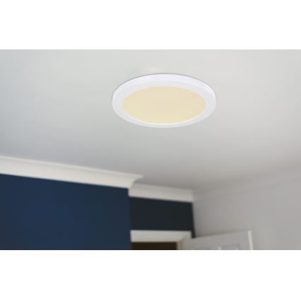 Globo - LED taklampa LED/24W/230V 3000/4000/6500K vit