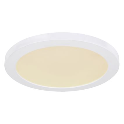 Globo - LED taklampa LED/24W/230V 3000/4000/6500K vit