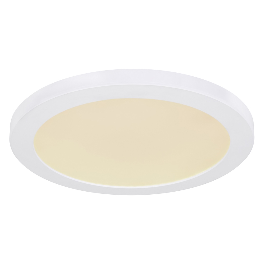 Globo - LED taklampa LED/24W/230V 3000/4000/6500K vit