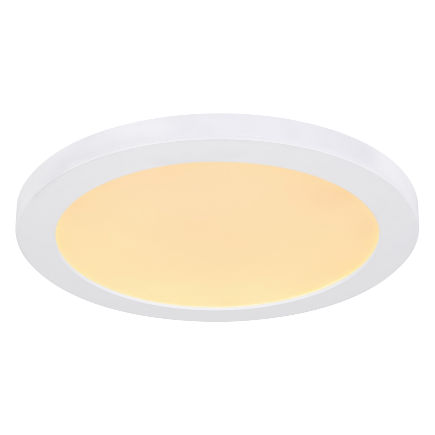Globo - LED taklampa LED/24W/230V 3000/4000/6500K vit