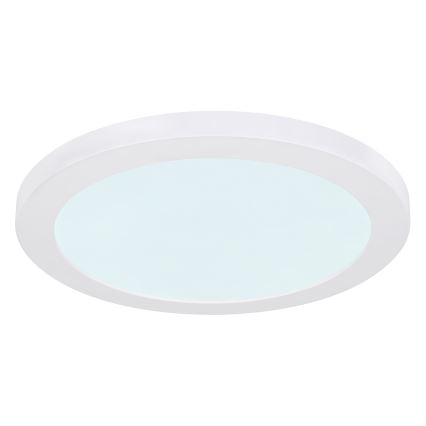 Globo - LED taklampa LED/24W/230V 3000/4000/6500K vit