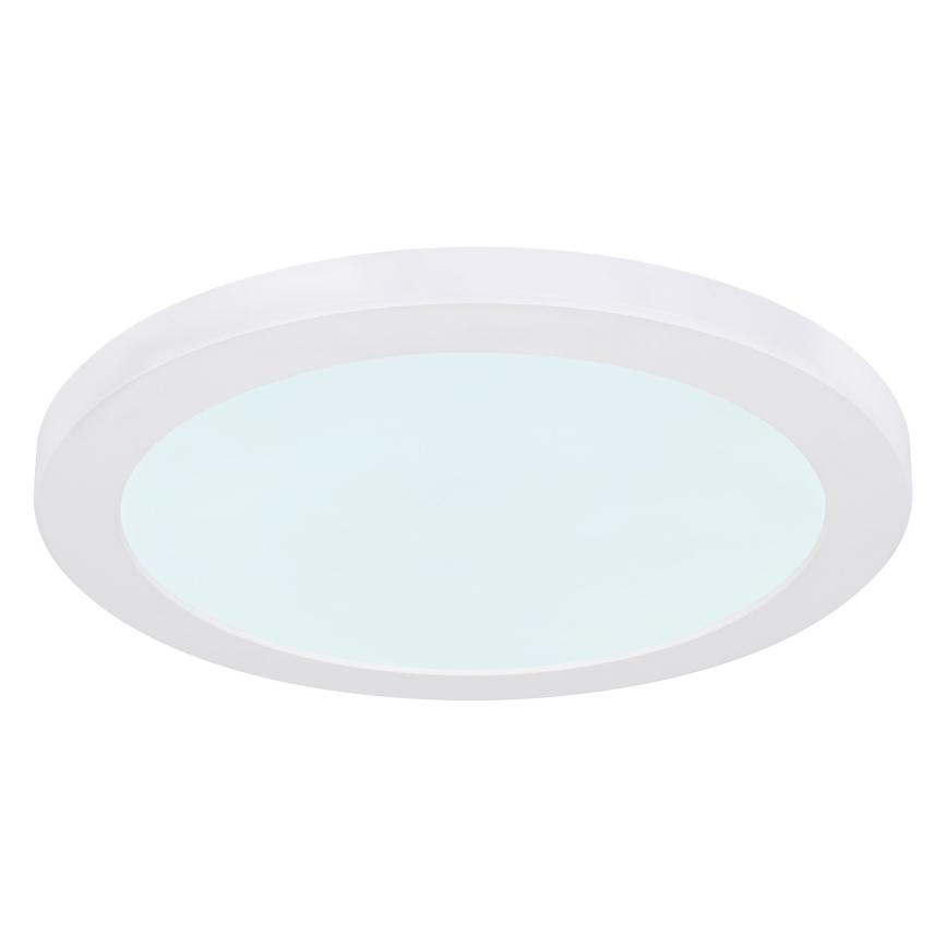 Globo - LED taklampa LED/24W/230V 3000/4000/6500K vit
