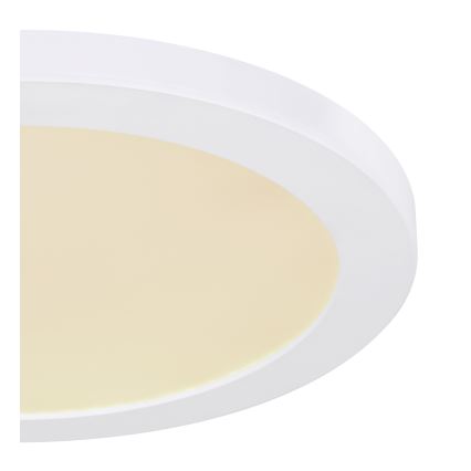 Globo - LED taklampa LED/24W/230V 3000/4000/6500K vit
