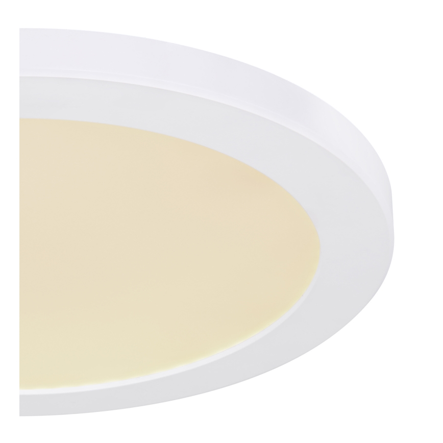 Globo - LED taklampa LED/24W/230V 3000/4000/6500K vit