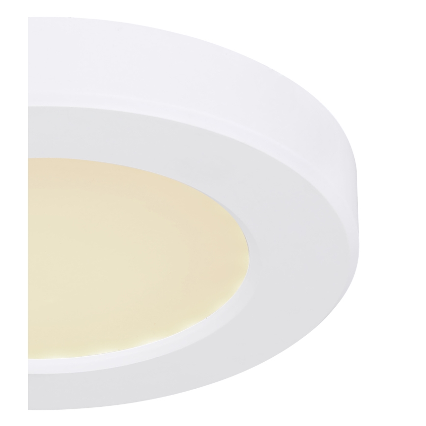 Globo - LED taklampa LED/6W/230V 3000/4000/6500K vit