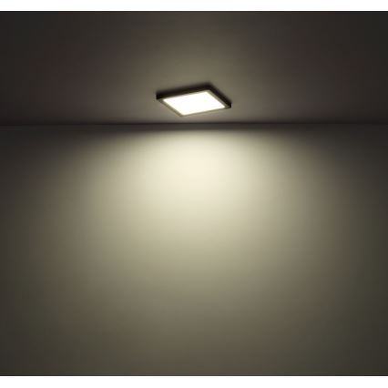 Globo  LED Taklampa LASSE LED/12W/230V 3000/4000/6500K svart