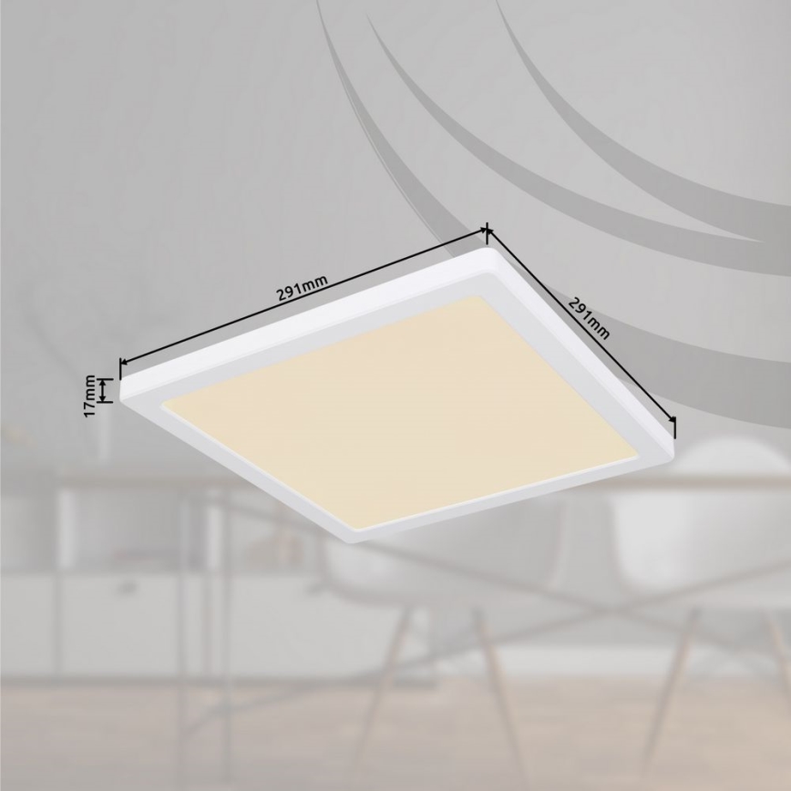 Globo  - LED Taklampa LASSE LED/24W/230V 3000/4000/6500K vit