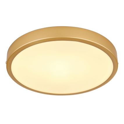 Globo - LED taklampa LED/15W/230V diameter 25 cm