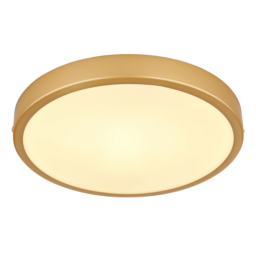 Globo - LED taklampa LED/15W/230V diameter 25 cm