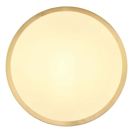 Globo - LED taklampa LED/15W/230V diameter 25 cm