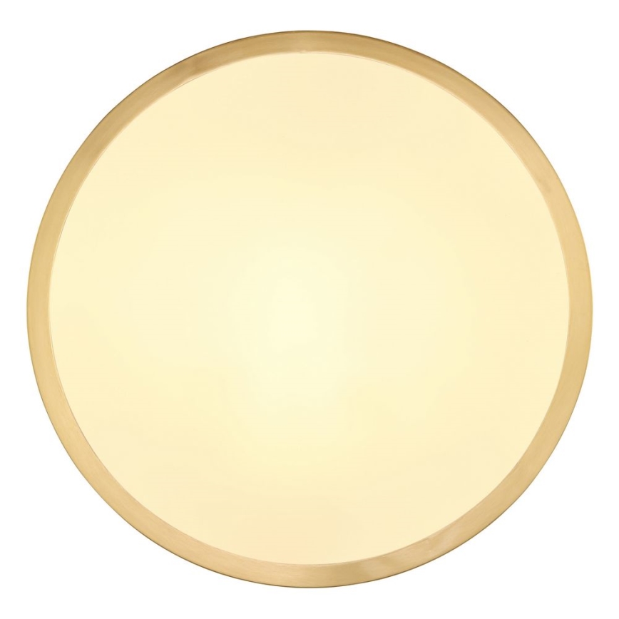 Globo - LED taklampa LED/15W/230V diameter 25 cm