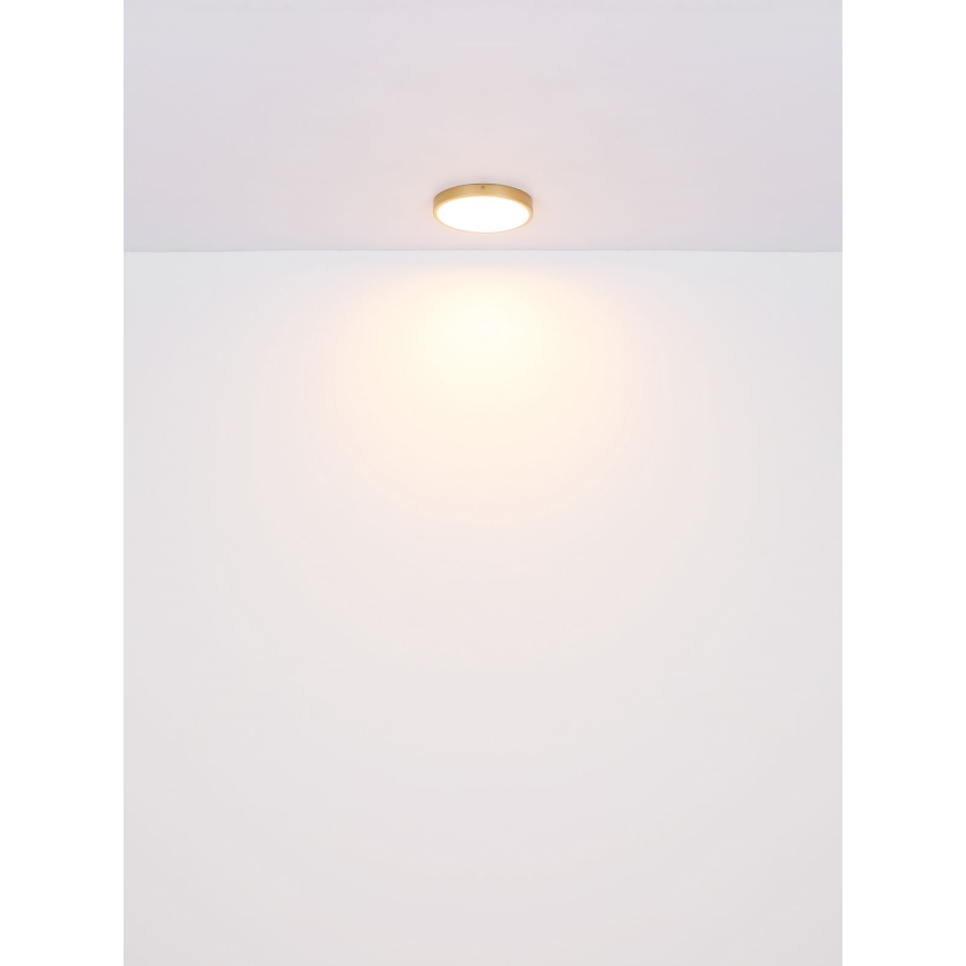 Globo - LED taklampa LED/22W/230V diameter 35 cm