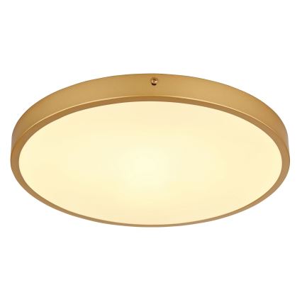 Globo - LED taklampa LED/22W/230V diameter 35 cm