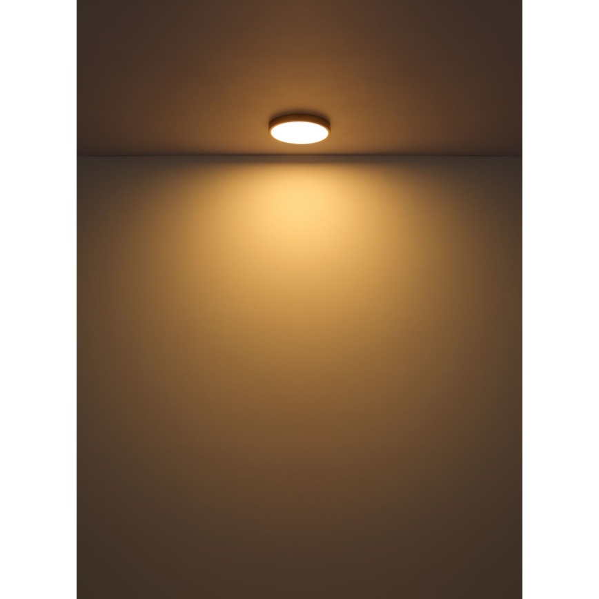 Globo - LED taklampa LED/30W/230V diameter 45 cm