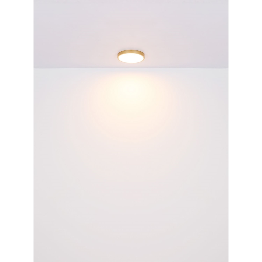 Globo - LED taklampa LED/30W/230V diameter 45 cm
