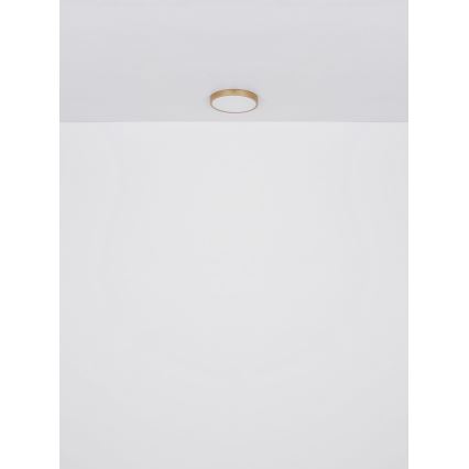 Globo - LED taklampa LED/30W/230V diameter 45 cm