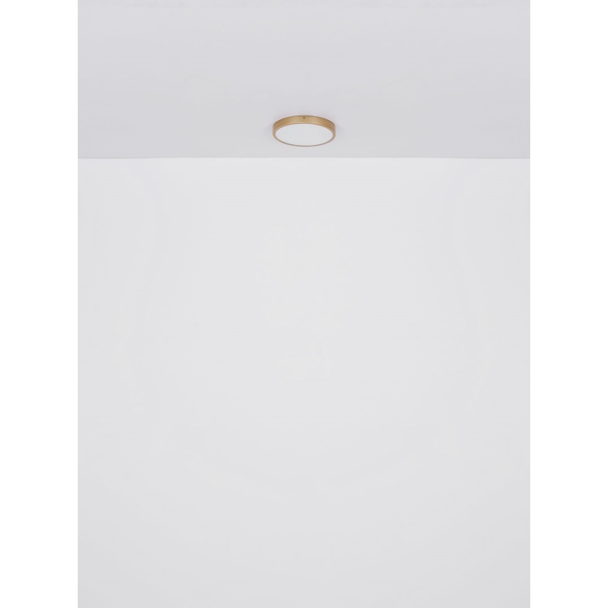 Globo - LED taklampa LED/30W/230V diameter 45 cm