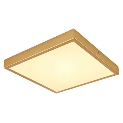Globo - LED taklampa LED/15W/230V 25x25 cm