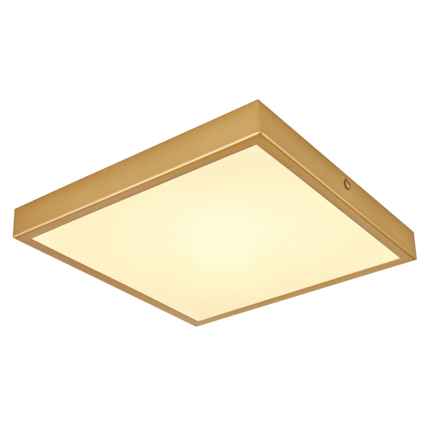 Globo - LED taklampa LED/15W/230V 25x25 cm