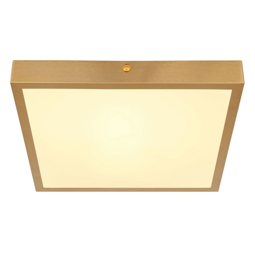Globo - LED taklampa LED/15W/230V 25x25 cm