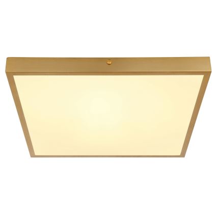 Globo - LED taklampa LED/22W/230V 35x35 cm