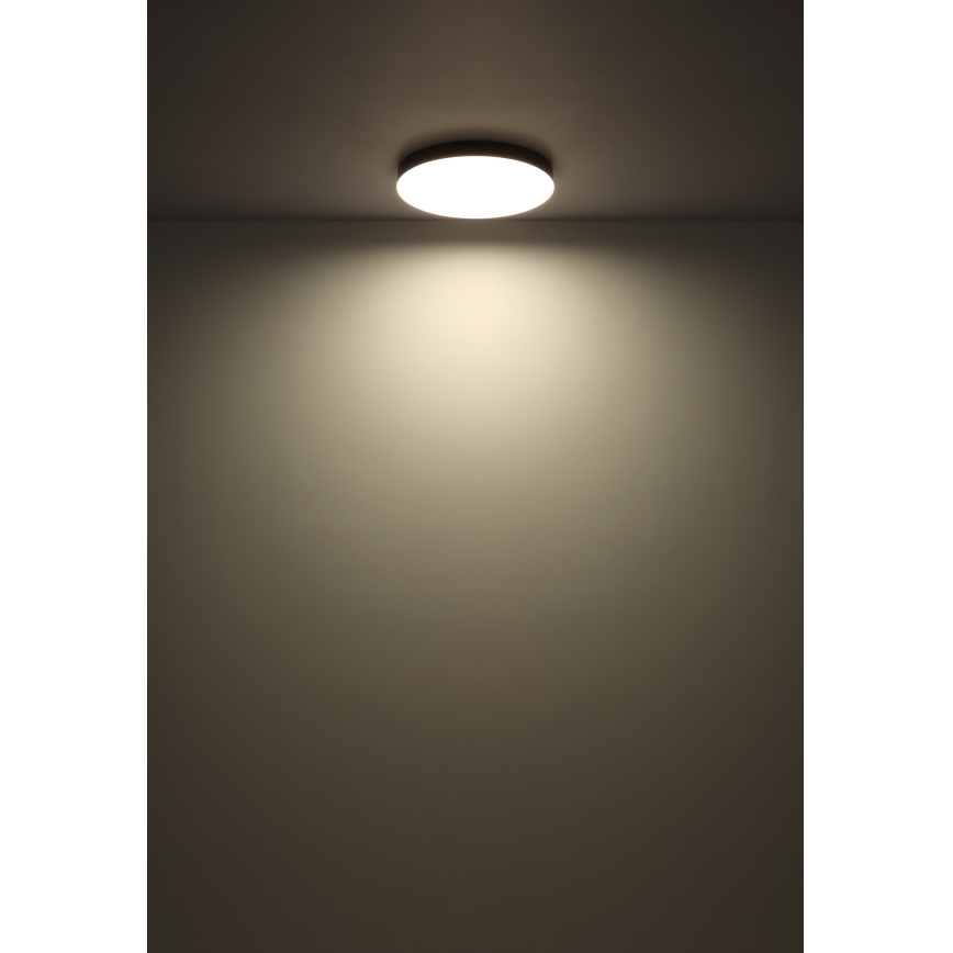 Globo - LED taklampa LED/24W/230V 3000K/4000K/6500K diameter 30 cm svart