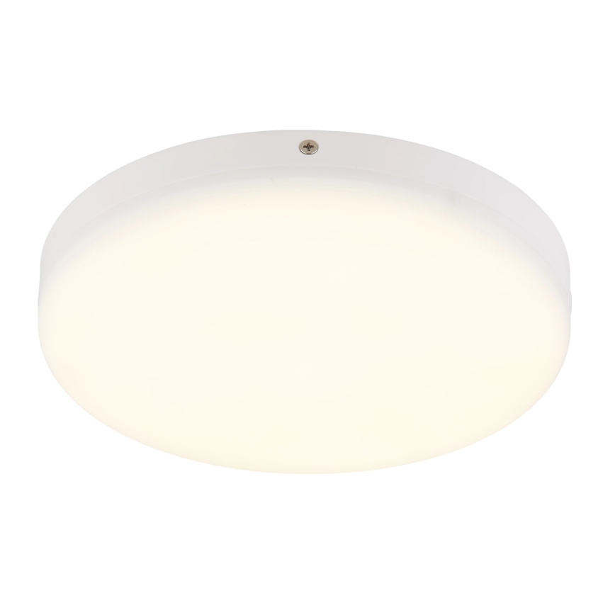 Globo - LED taklampa LED/12W/230V 4000K diameter 22 cm vit