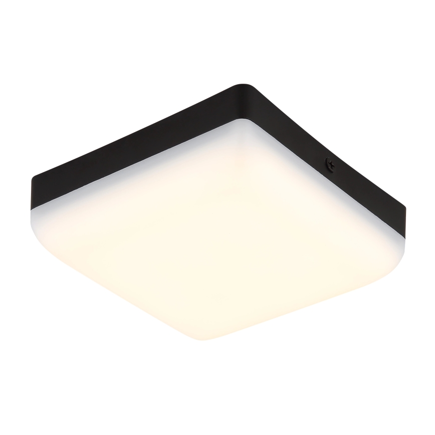 Globo - LED taklampa LED/8W/230V 4000K 12x12 cm svart