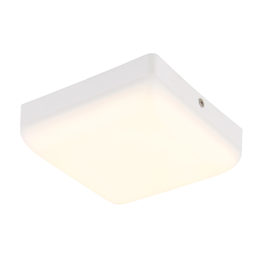 Globo - LED taklampa LED/8W/230V 4000K 12x12 cm vit