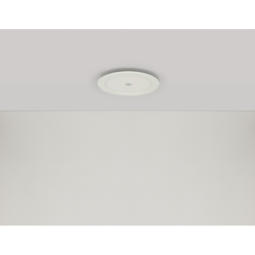 Globo 12392-18S - LED Badrum Hängande Takbelysning med sensor POLLY 1xLED/18W