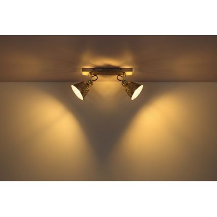 Globo - Spotlight 2xE27/60W/230V gran