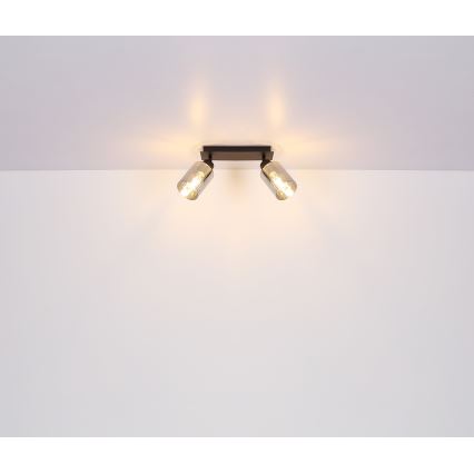 Globo - Spotlight 2xE27/15W/230V svart