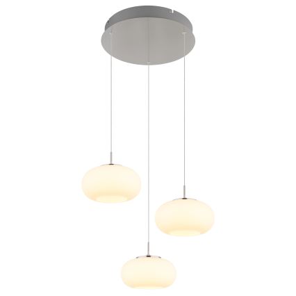 Globo - LED ljuskrona med textilsladd 3xLED/6W/230V