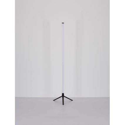 Globo - LED RGB Dimbar golvlampa LED/7W/5V + fjärrkontroll