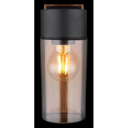 Globo - Vägglampa för utomhusbruk 1xE27/40W/230V IP44