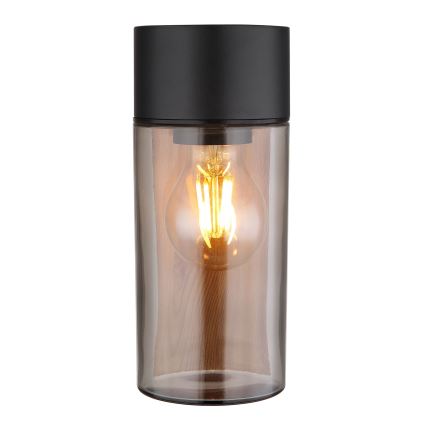 Globo - Vägglampa för utomhusbruk 1xE27/40W/230V IP44