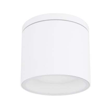 Globo - Taklampa för utomhusbruk 1xGX53/11W/230V IP44