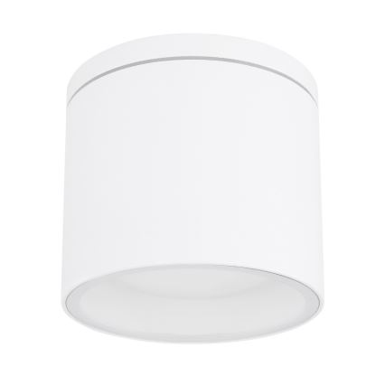 Globo - Taklampa för utomhusbruk 1xGX53/11W/230V IP44