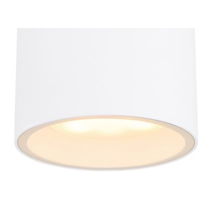 Globo - Taklampa för utomhusbruk 1xGX53/11W/230V IP44